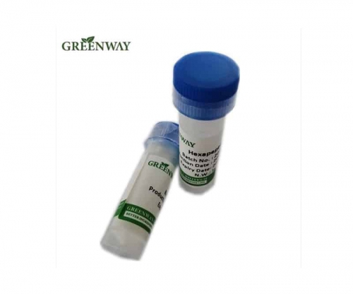 Acetyl Dipeptide-1 Cetylester